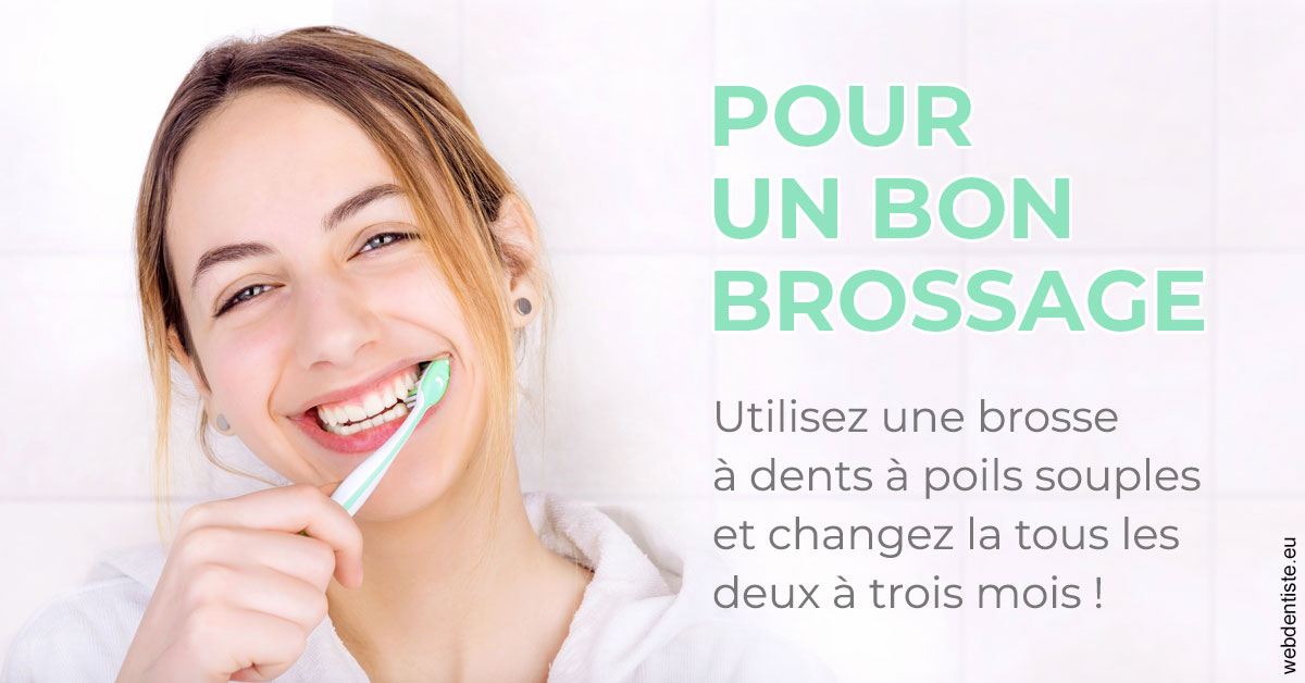 https://www.orthodontie-nappee.fr/Pour un bon brossage 2