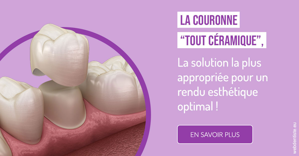 https://www.orthodontie-nappee.fr/La couronne "tout céramique" 2