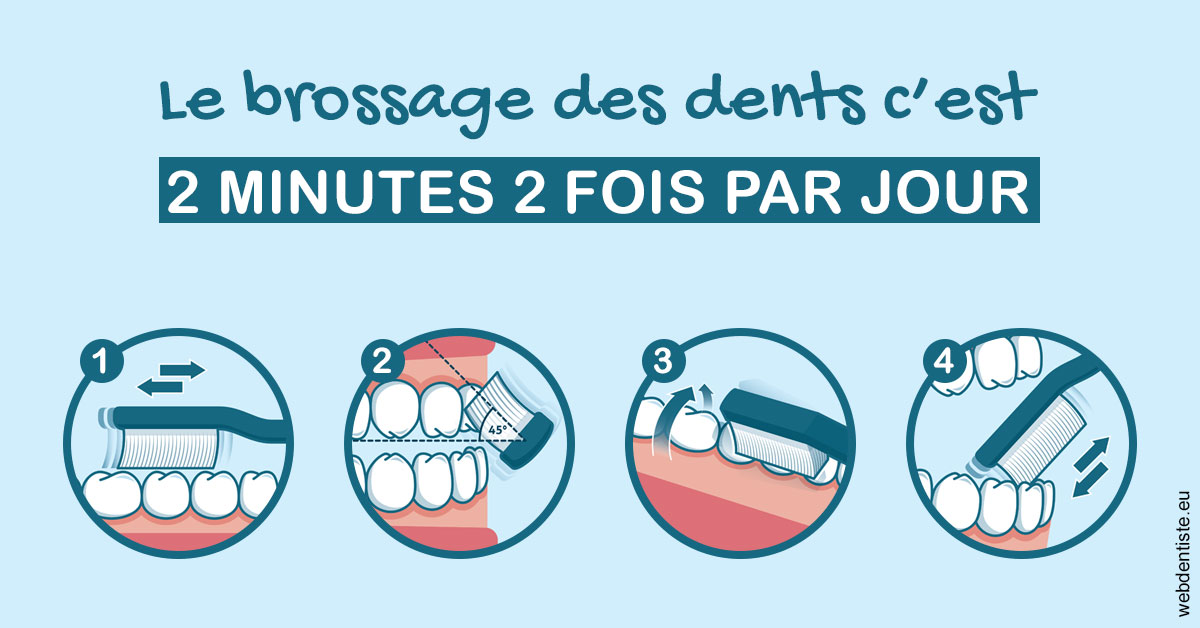 https://www.orthodontie-nappee.fr/Les techniques de brossage des dents 1