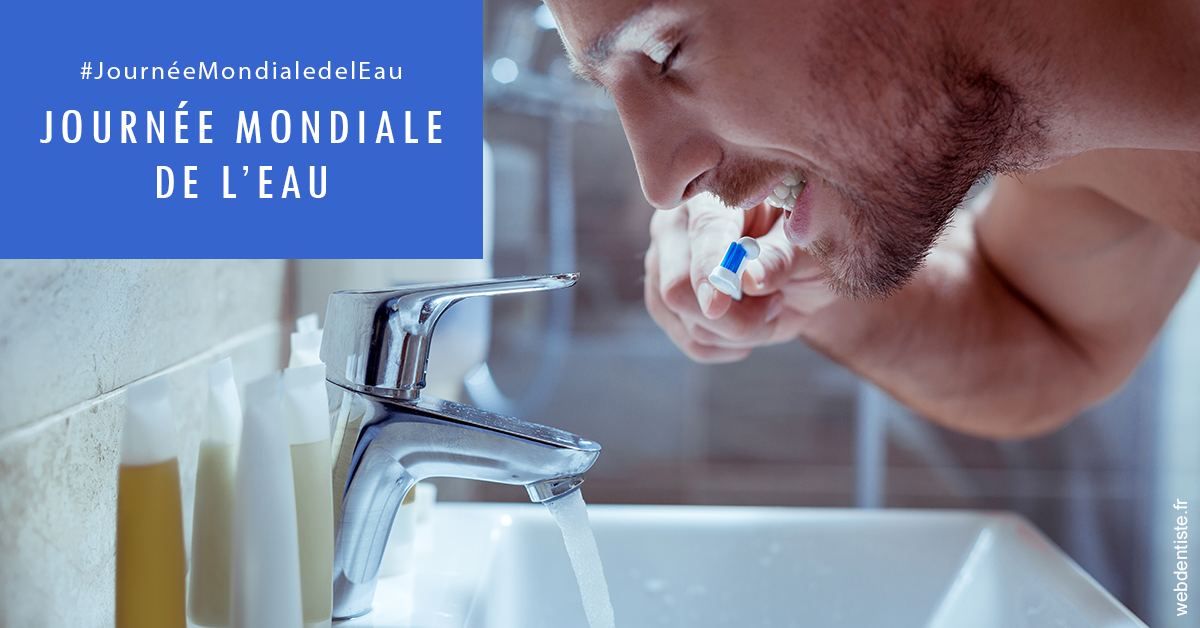https://www.orthodontie-nappee.fr/Journée de l'eau 2