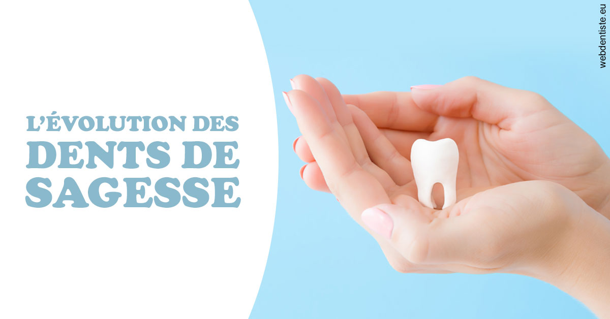 https://www.orthodontie-nappee.fr/Evolution dents de sagesse 1