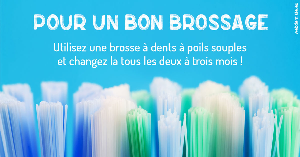 https://www.orthodontie-nappee.fr/Pour un bon brossage 1