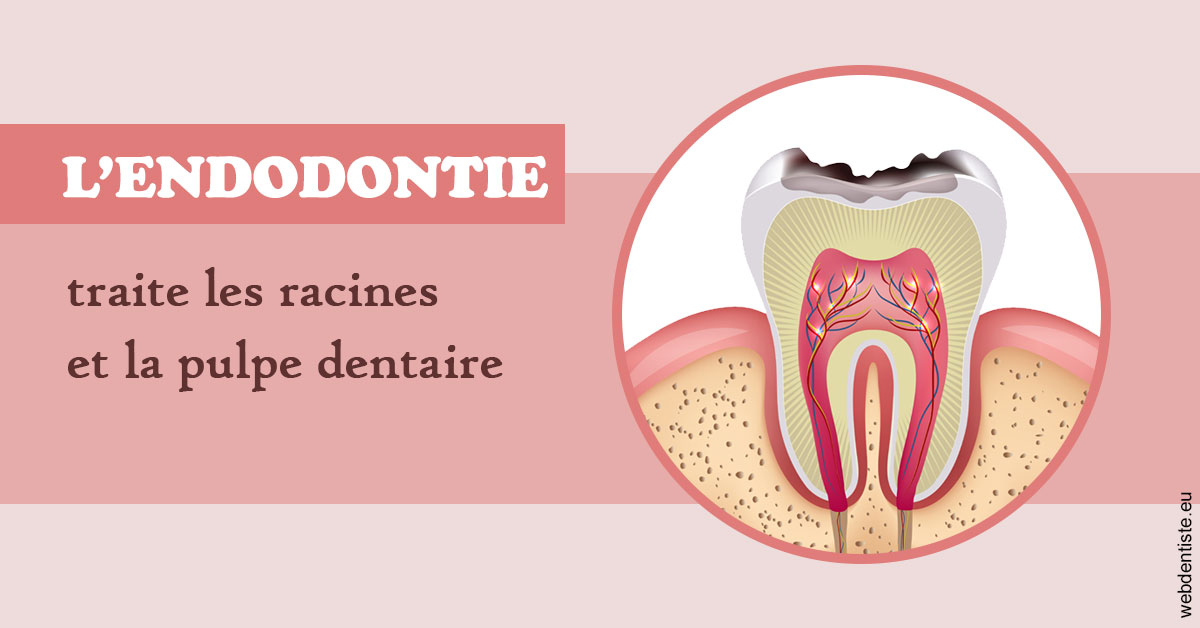 https://www.orthodontie-nappee.fr/L'endodontie 2