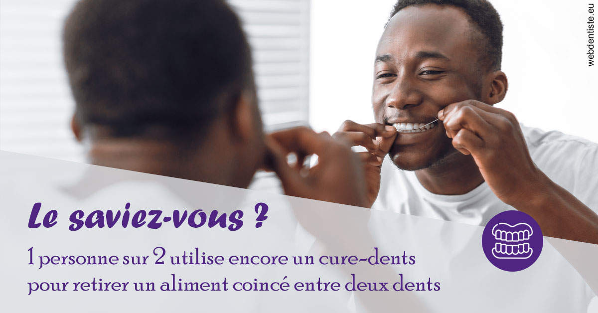 https://www.orthodontie-nappee.fr/Cure-dents 2