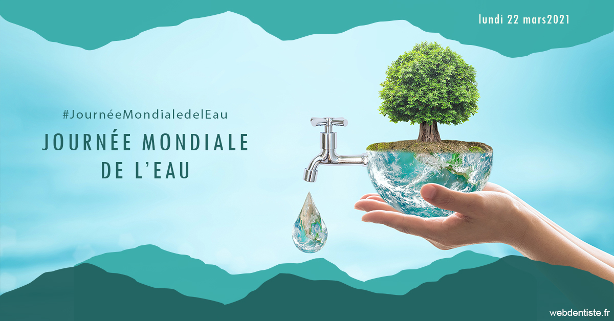 https://www.orthodontie-nappee.fr/Journée de l'eau 1