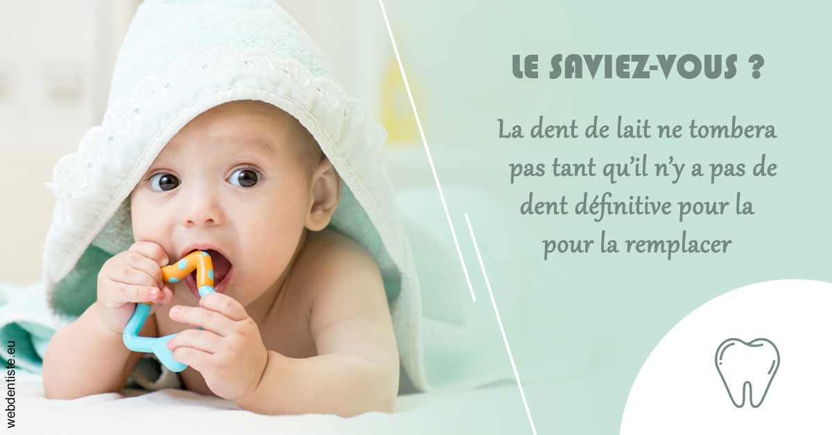 https://www.orthodontie-nappee.fr/La dent de lait 2