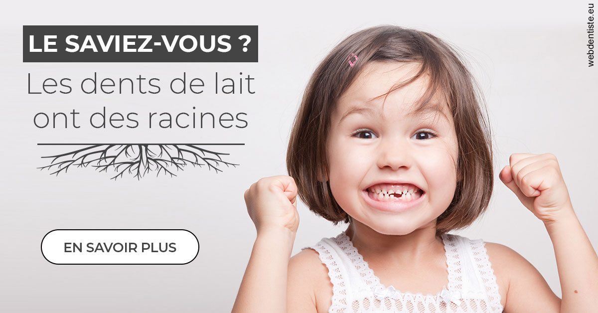 https://www.orthodontie-nappee.fr/Les dents de lait