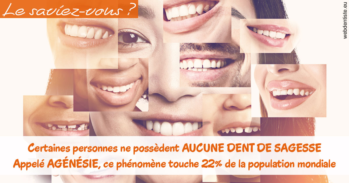https://www.orthodontie-nappee.fr/Agénésie 2