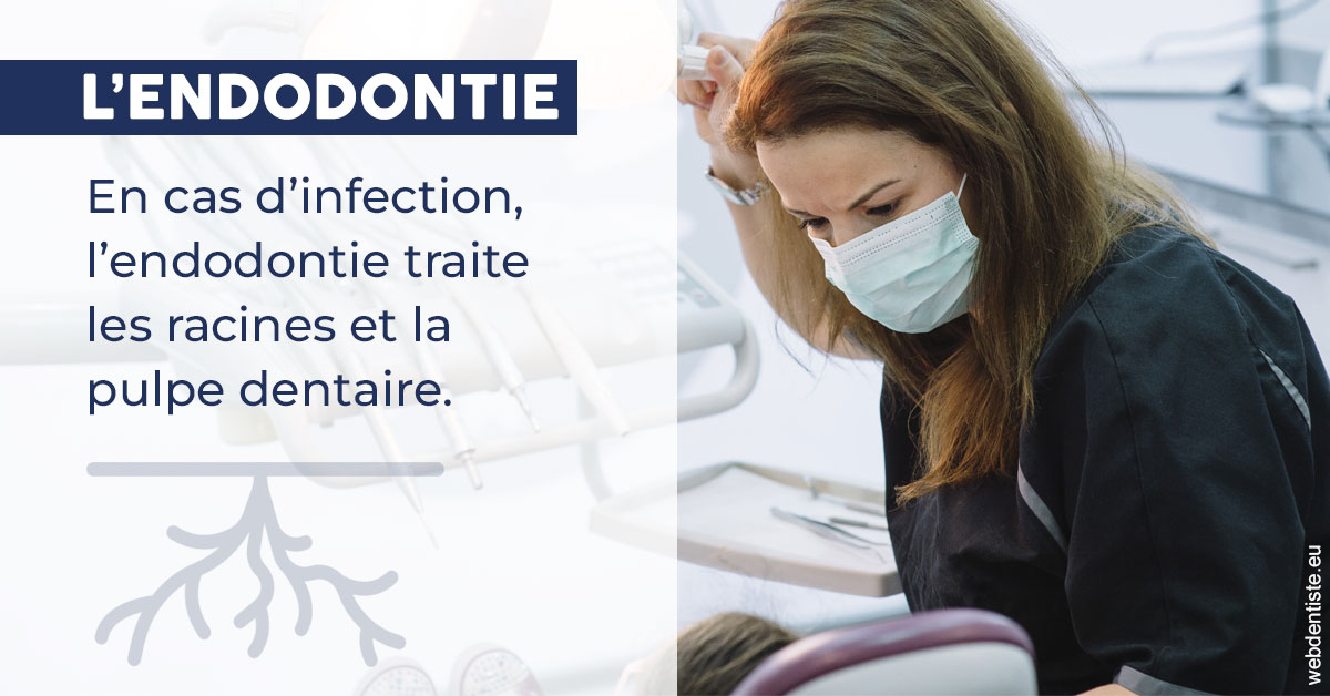 https://www.orthodontie-nappee.fr/L'endodontie 1