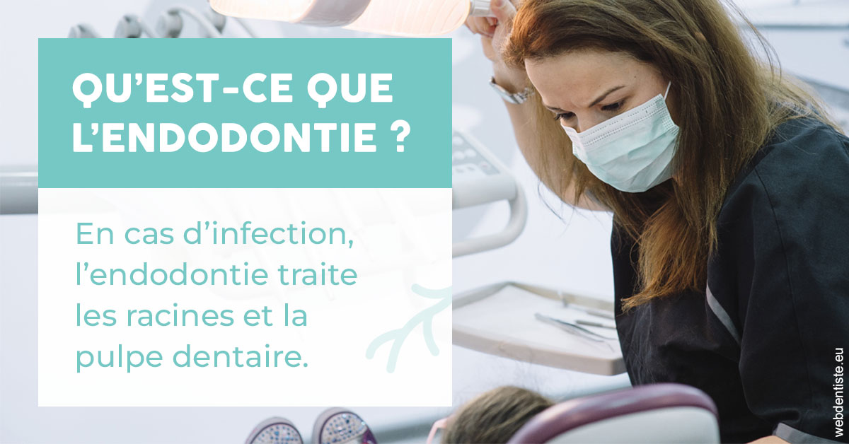 https://www.orthodontie-nappee.fr/2024 T1 - Endodontie 01