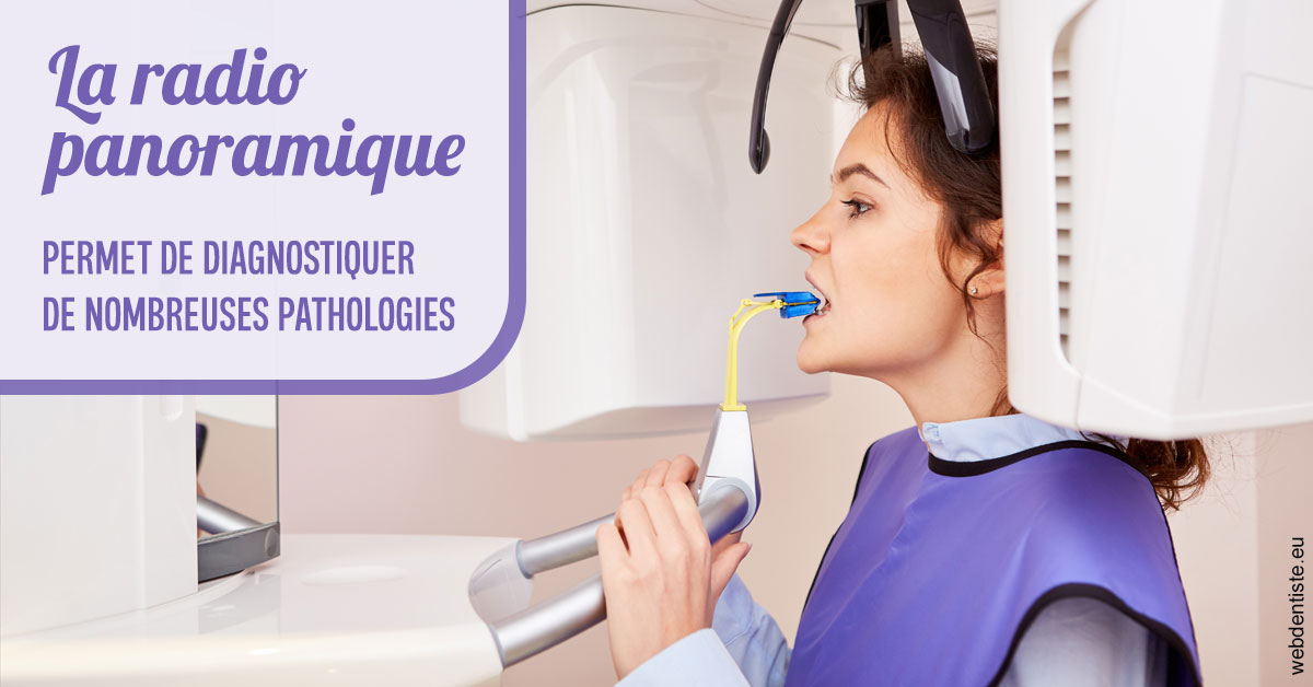 https://www.orthodontie-nappee.fr/L’examen radiologique panoramique 2